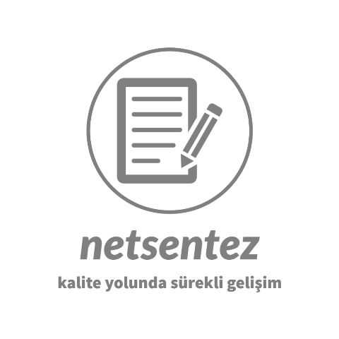 logo-netsentez